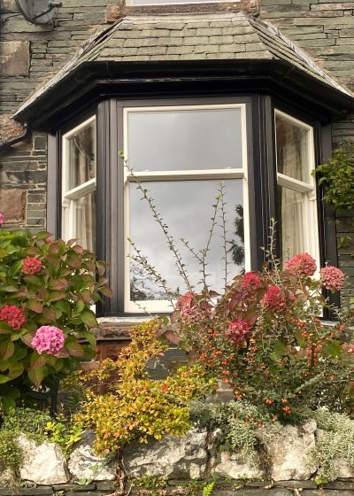 Sliding sash bay window with a rose bush in the foreground.